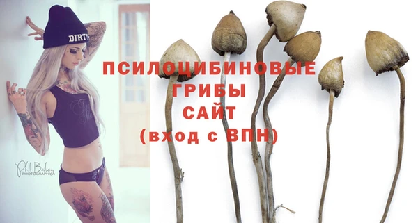 молекула духа Бронницы