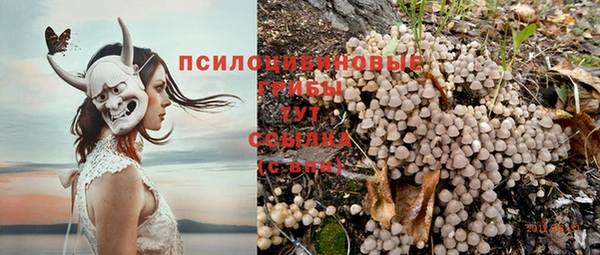 молекула духа Бронницы
