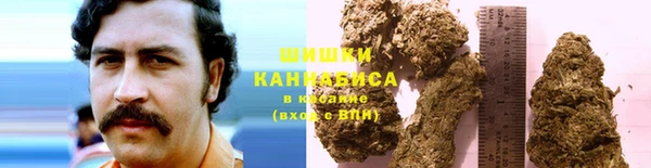 экстази Богданович
