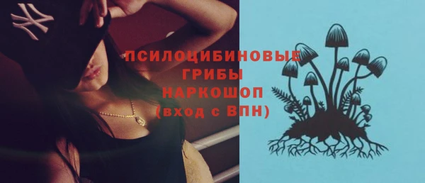 твердый Богородск