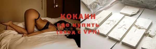 молекула духа Бронницы