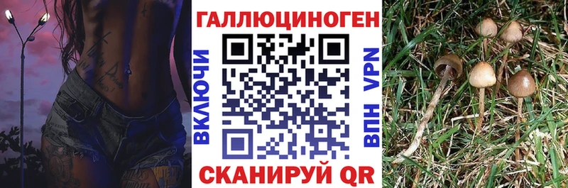 Псилоцибиновые грибы ЛСД  Кирсанов 