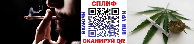 darknet как зайти  Кирсанов  Бошки Шишки план 